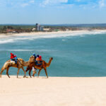 Genipabu Beach in Natal, Rio Grande do Norte